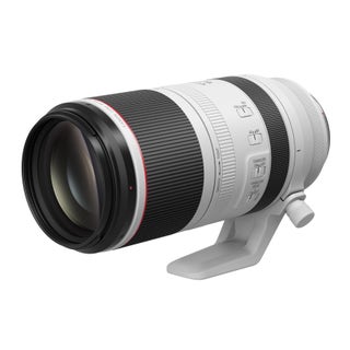 Canon RF 100-500mm f/4.5-7.1L IS USM Lens