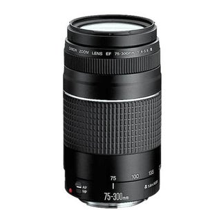 Canon EF 75-300mm f/4-5.6 III Telephoto Zoom Lens